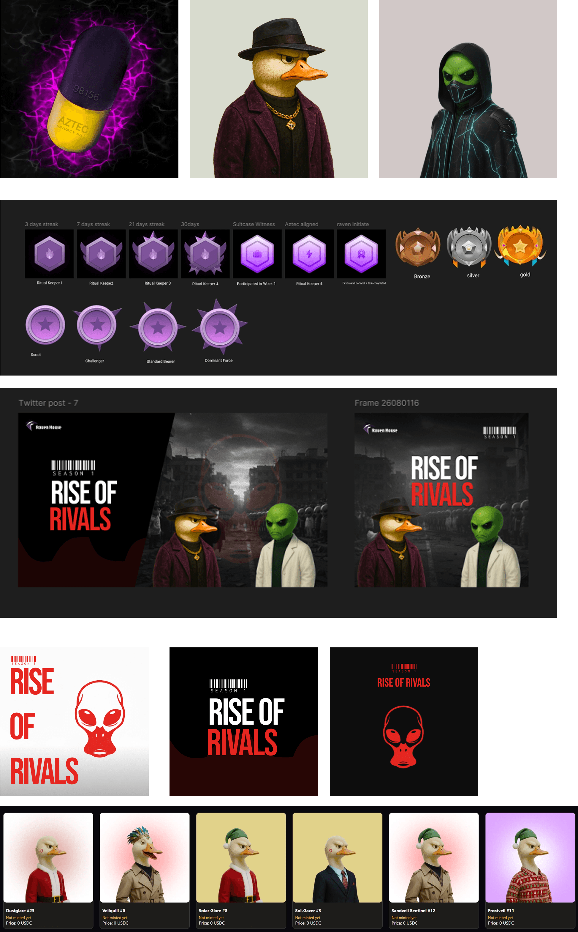 Raven House Color Strategy